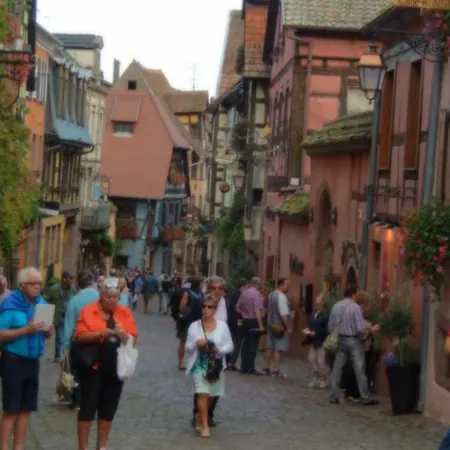 Pinot 贝布林黑姆